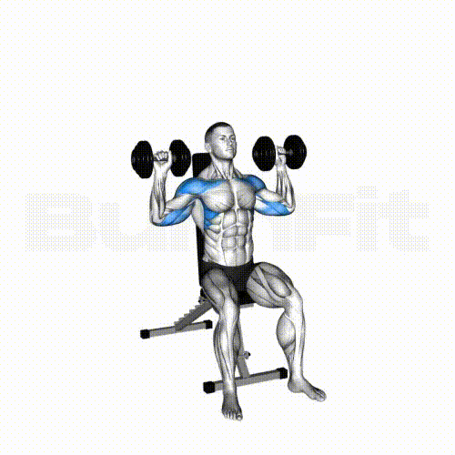 Seated Dumbbell Shoulder Press